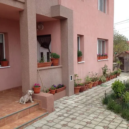بيت ضيافة Casa Mario